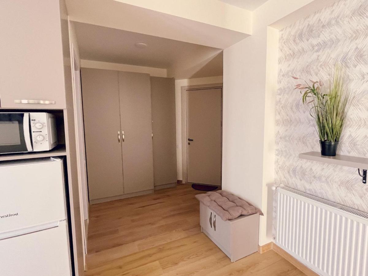 Delux Apartment For 6 Guest, New Gudauri Eksteriør billede